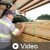 Southern Yellow Pine: Sustainability and Applications