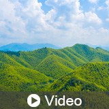 FSC®-Certified Wood In Green Building: LEED v5, v4.1, v4 plus Living Building Challenge, and FSC Project Certification