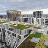 Green Roofing: Blending Built Environments with Nature to Maximize Rooftop Productivity