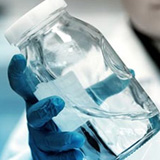 High-Performance Sealants Using Silane Modified Polymer (SMP)