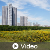 Sensitive Land Protection For LEED v4.1