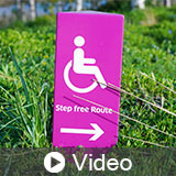 Godzilla & King Kong: CA & the ADA in 2023. Volume 2: Accessible Routes